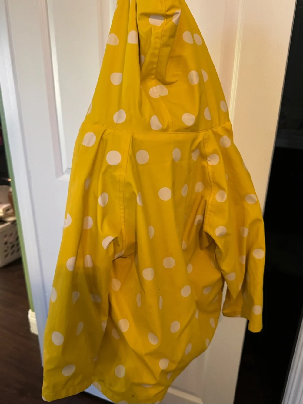 Foxfire bright yellow